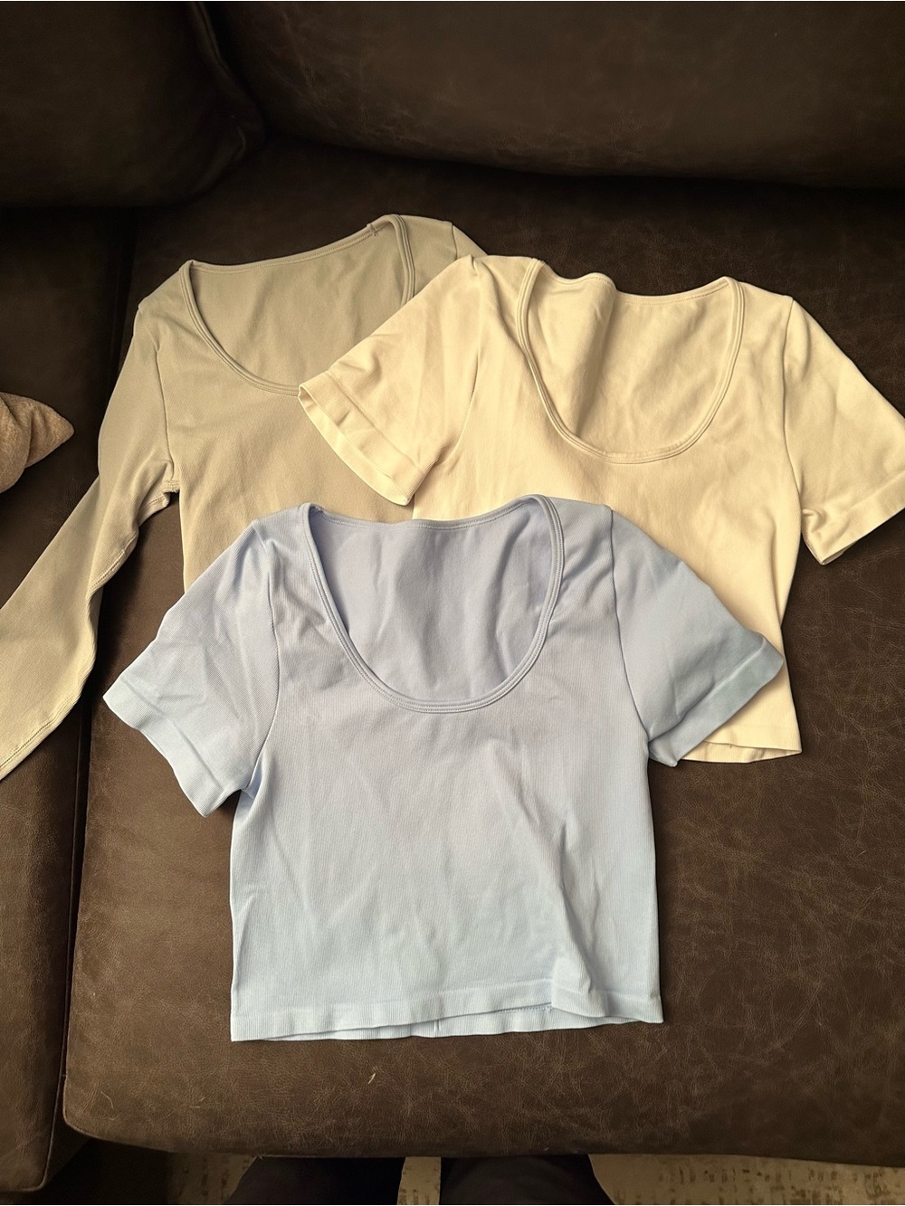 Everyday Scoop Neck Crop Top - Light Blue, Cream, Taupe